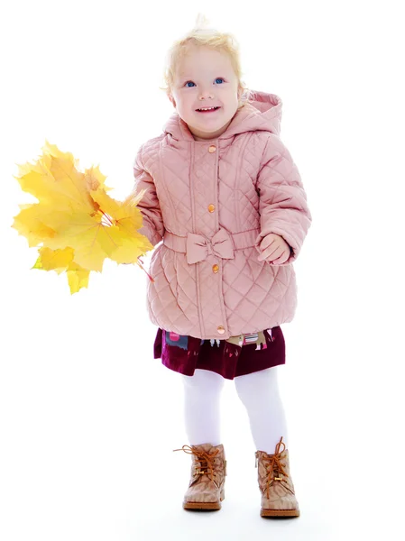 Adorável menina dois anos . — Fotografia de Stock