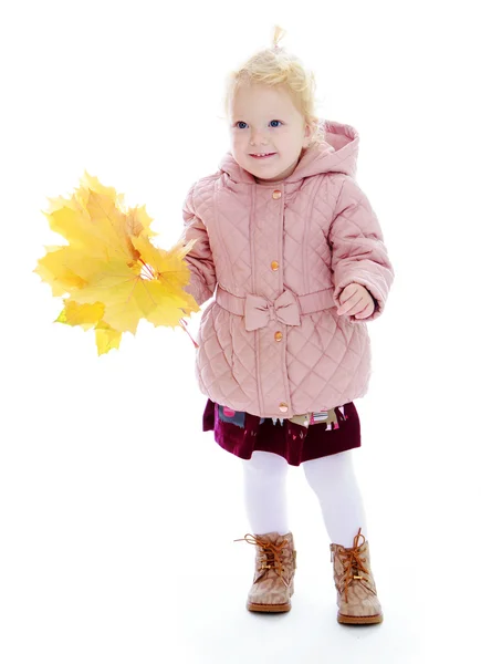 Entzückendes kleines Mädchen im Herbstmantel mit einem Strauß Ahornholz — Stockfoto