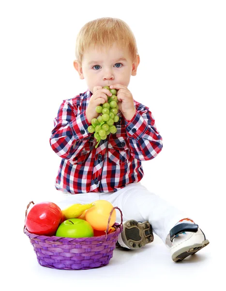 Niño pequeño con una cesta de fruta . —  Fotos de Stock