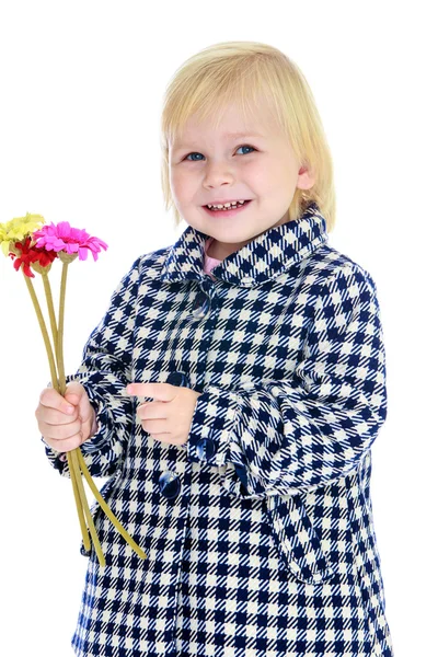 Portrait of elegant fashionable little girl — Stock Photo, Image