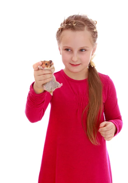 Okouzlující dívka si hraje s křeček. — Stock fotografie