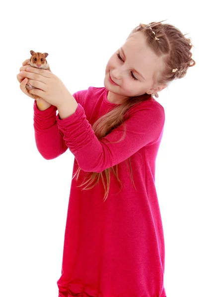 Cute little girl keep before our eyes fluffy hamster — Stock Photo, Image