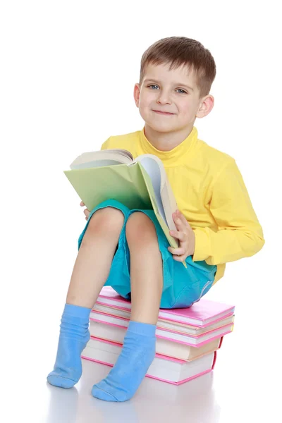 阅读本书坐的小男孩 — 图库照片