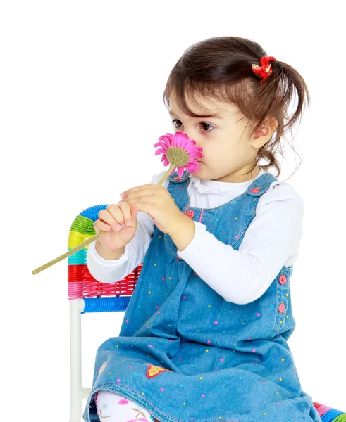 Bardzo ładny dziewczynka wącha kwiat — Zdjęcie stockowe