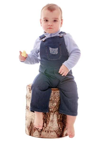 Очень маленький мальчик сидит на пне березы — стоковое фото