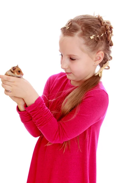 Flicka som håller en hamster, närbild — Stockfoto