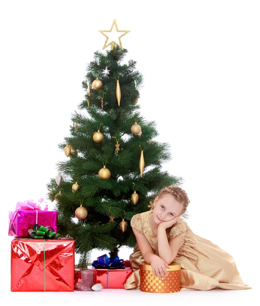 Elegant girl near the Christmas tree — Stock Photo, Image