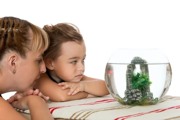 Ragazza sta guardando i pesci in un acquario — Foto Stock