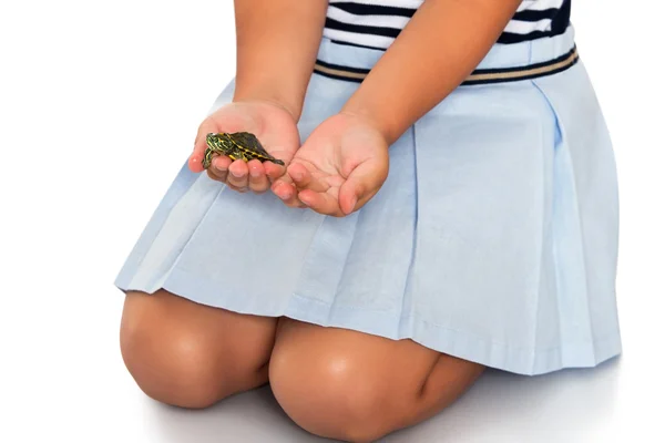Girl holding a turtle — Stock Photo, Image