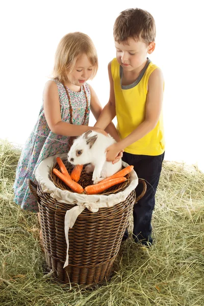 Children play with a rabbit — Stock fotografie