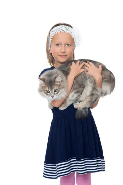 Chica sosteniendo un gato —  Fotos de Stock