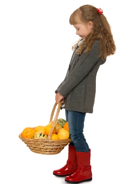 Little girl with basket — Stock Photo, Image