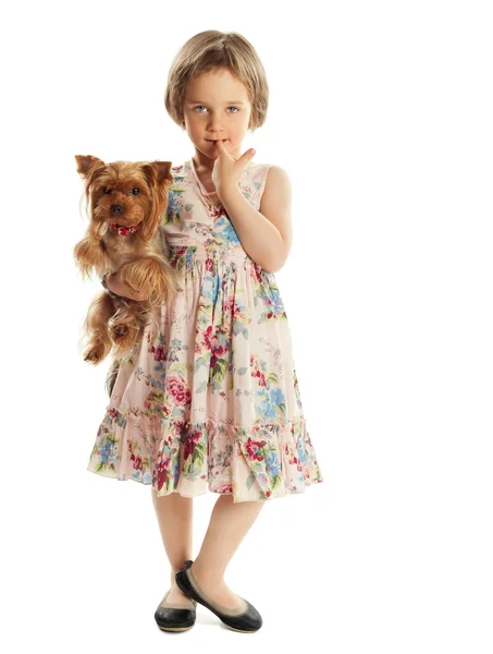 Bambina con un cane — Foto Stock