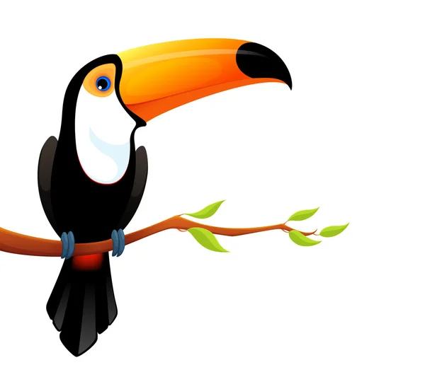 Colorful illustration of a cute toucan — Stock Vector