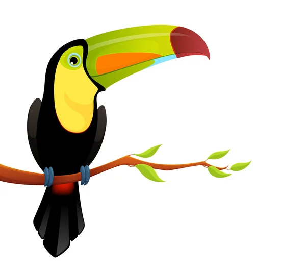 Colorful illustration of a cute keel billed toucan — Stock Vector