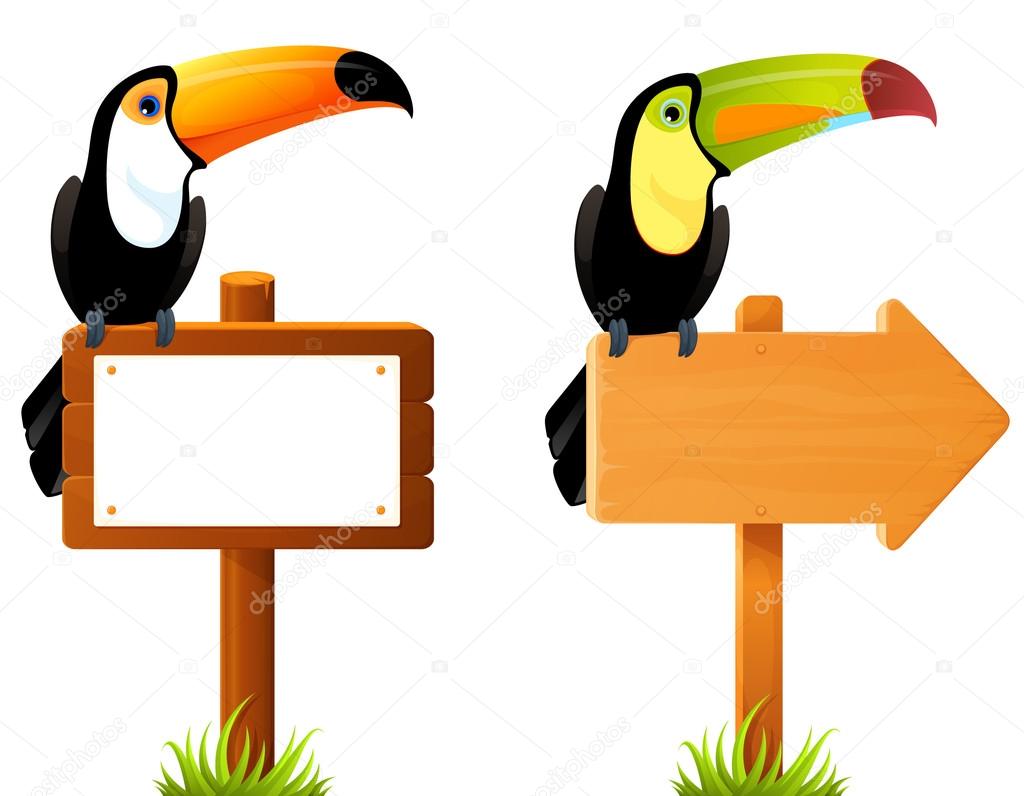 colorful toucan birds sitting on wooden sign board