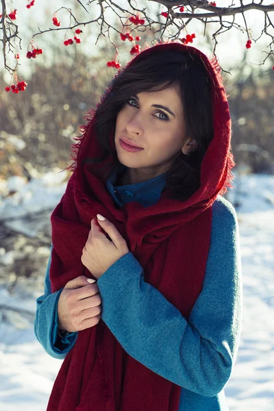 Retrato de jovem morena vestida com cachecol vermelho e casaco azul sobre o parque de inverno — Fotografia de Stock