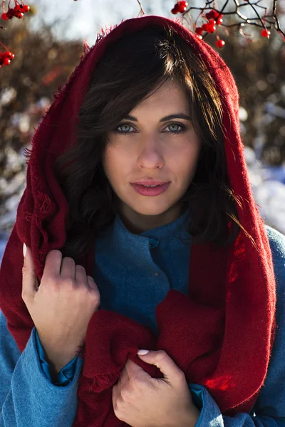 Retrato de 22-23 anos de idade mulher morena vestida com cachecol vermelho e casaco azul — Fotografia de Stock