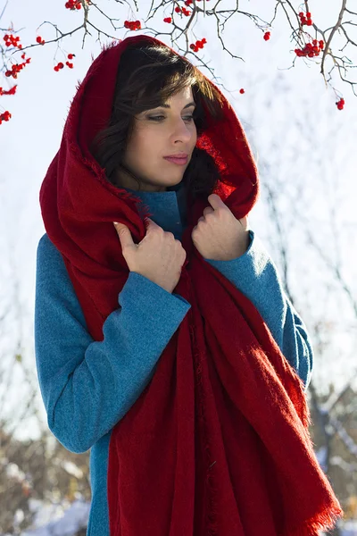 Dziewczyna ubrana w czerwony szalik i niebieski płaszcz nad śnieżne parku i drzewo z jagód — Zdjęcie stockowe