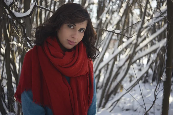 Menina vestida com cachecol vermelho e casaco azul sobre o fundo do parque nevado — Fotografia de Stock