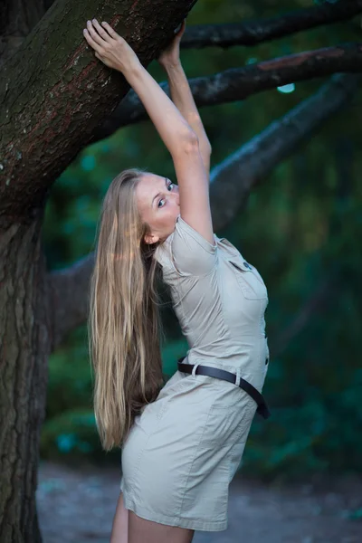 木の枝にぶら下がっている女の子 — ストック写真