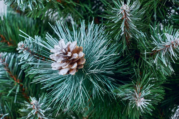 Frostbedeckter Immergrüner Weihnachtsbaum Mit Natürlichem Tannenzapfen Traditionelles Weihnachtsmuster — Stockfoto