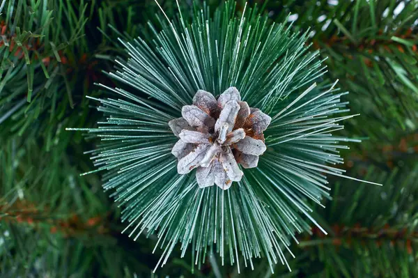 Frostbedeckter Immergrüner Weihnachtsbaum Mit Natürlichem Tannenzapfen Traditionelles Weihnachtsmuster — Stockfoto