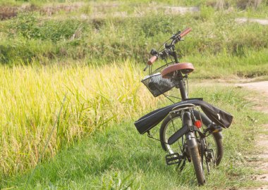 Bisiklet pirinç tarlalarının yanına park edilmiş..