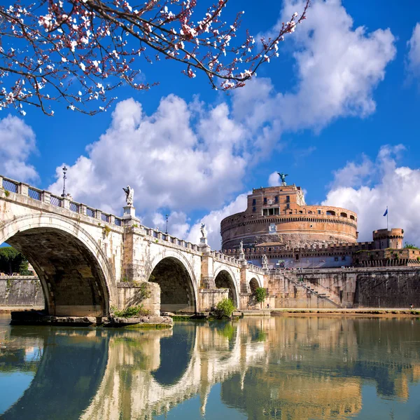 Rome, イタリアの木の天使城 — ストック写真