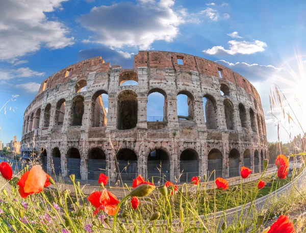 Coliseu com flores da primavera em Roma, Itália — Fotografia de Stock