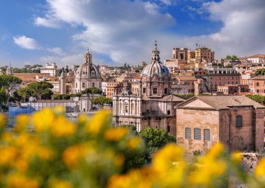 Roma Roma Forumu İtalya'nın görünümü