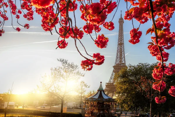 Эйфелева башня с весенним деревом в Париже, Франция — стоковое фото