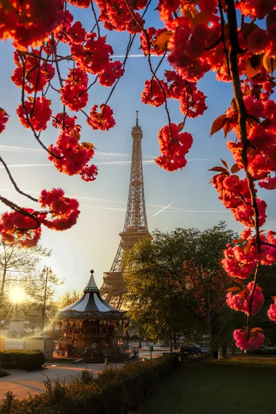 Eiffeltoren met lente boom in Parijs, Frankrijk — Stockfoto