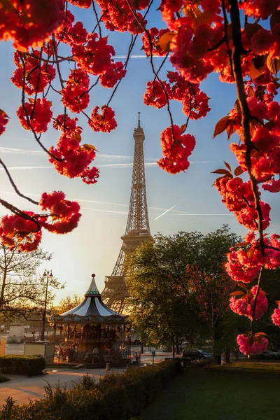 Torre Eiffel con árbol de primavera en París, Francia —  Fotos de Stock