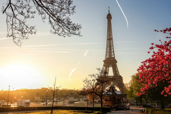 Eiffeltornet med våren träd i paris, Frankrike — Stockfoto