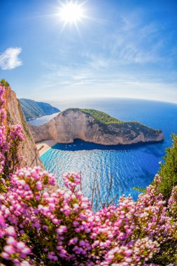 Navagio plaj batık ve günbatımı karşı çiçeklerle Zakynthos Adası Yunanistan