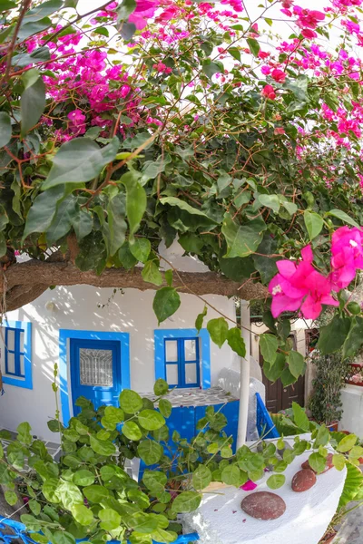 ギリシャ サントリーニ島イア村の花で伝統的なギリシャ語家 — ストック写真