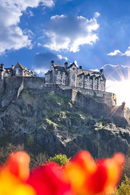 Bahar Lale İskoçya Edinburgh Kalesi