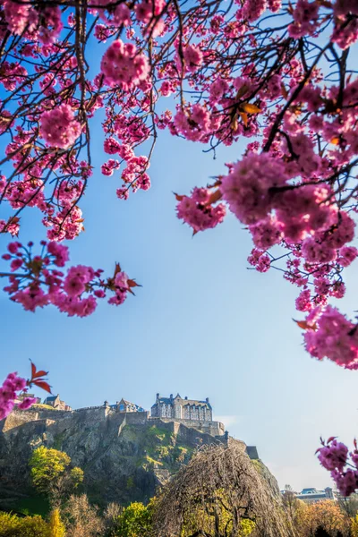Castello di Edimburgo con albero primaverile in Scozia — Foto Stock
