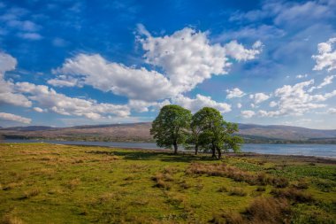 Loch Eil with trees near the Fort William in Scotland clipart