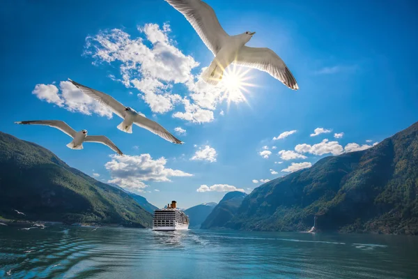 Hermosos fiordos cerca de la Flam en Noruega — Foto de Stock