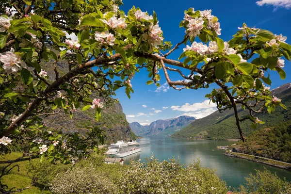 Cruise ship against blossom tree in the port of Flam, Norway — Stock Photo, Image