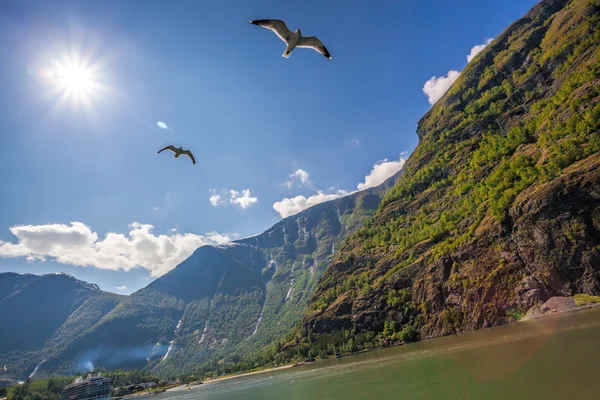 Beautiful fjords near the Flam in Norway — Stock Photo, Image