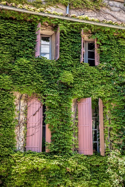 Altes Haus mit grünen Blättern in der Provence, Frankreich — Stockfoto