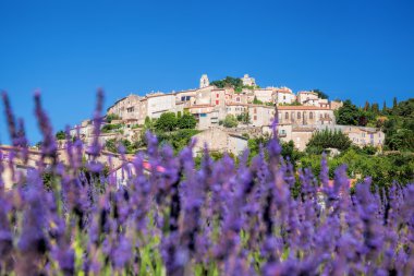 Simiane la Rotonde Köyü lavanta alanıyla Provence, Fransa
