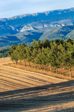 Güzel manzara ile Verdon Kanyonu Provence, Fransa