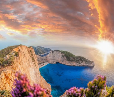 Navagio plaj batık ve günbatımı karşı çiçeklerle Zakynthos Adası Yunanistan