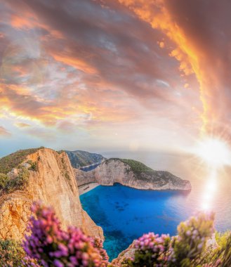 Navagio plaj batık ve günbatımı karşı çiçeklerle Zakynthos Adası Yunanistan