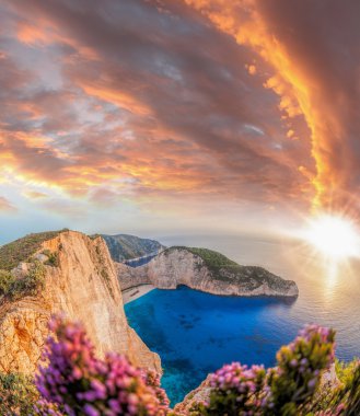 Navagio plaj batık ve günbatımı karşı çiçeklerle Zakynthos Adası Yunanistan