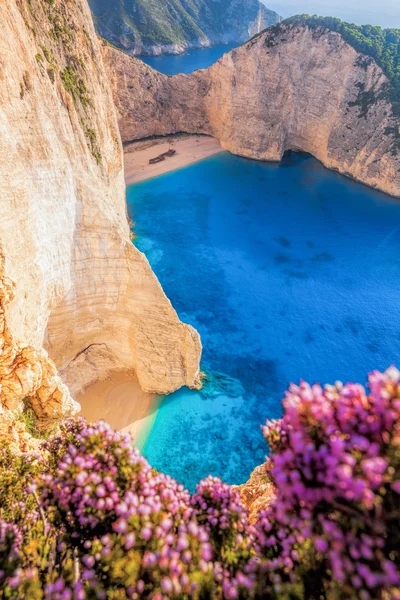 Navagio beach a hajótörés és virágok, a Zakynthosz sziget, Görögország — Stock Fotó